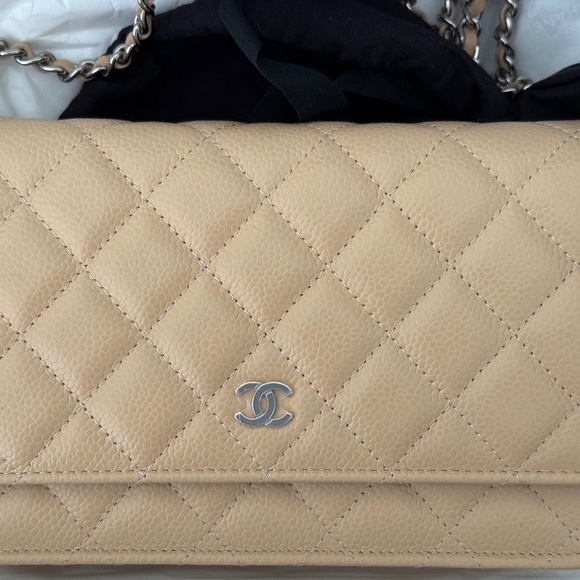Chanel Clutch Crossbody by Virginia Viard- Neutral Beige- Pristine Condition - Picture 1 of 5
